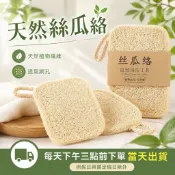 天然絲瓜絡 洗碗刷 環保清潔 海綿 菜瓜布 植物纖維 掛繩收納 廚房 餐具 杯具 鍋具 水槽 多用途刷洗 居家清潔用品