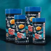 海豐 無悔x惜福 慈鯛/中大型魚類草本蟲源健康消化飼料 蟲源慈鯛飼料 血鸚鵡 花羅漢 三間 六間 三湖慈鯛
