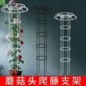 【臺灣出貨D1】新款園藝 傘形 爬藤架 玫瑰 月季 薔薇花架子 蘑菇頭造型 綠植 戶外 花架