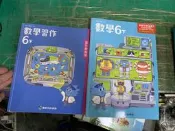  115年 108課綱 康軒國小數學課本 6下 教師手冊 習作教師版 康軒國民小學數學 教師手冊 無劃記 T29