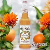【歐亞糖漿果露調研所】Monin 柑橘糖漿 果露 700ml
