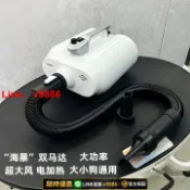 聚優甄選 【台灣公司 可開發票】派瑞弗寵物店雙馬達吹水機可掛壁大型犬專用大功率吹風機吹毛神器