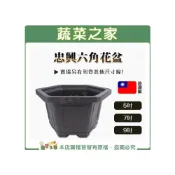 (店+)【蔬菜之家】忠興六角花盆 5吋、7吋、9吋加厚材質 六角盆栽 塑膠花盆 造景花盆 園藝花器 種植容器