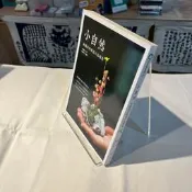 小自然 林國承的無盆小品植栽｜林國承｜本事【9789866118739】書口黃斑無劃損