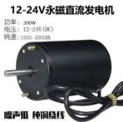 挪威的森林 【最低價】【公司貨】1224V300W軸承正反碳刷直流發電機風力水力手搖大功率電機馬達