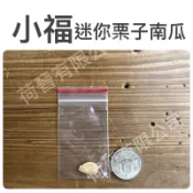小福迷你栗子南瓜種子(1粒) 一代交配 立式栽培品種，生長勢強健，連續著果力佳。