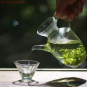 🔥臺灣出貨 高硼矽玻璃茶壺 350ml透明泡茶壺 加厚耐熱玻璃壺 彈簧過濾茶具 日式綠茶壺 小青柑沖泡壺 家用茶器