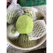 大特賣～1顆26元、甜脆好吃😋酵素芭樂、美人蕉
