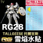 鋼普拉 eye攝影 【鋼普拉】現貨 雪焰水貼 TV螢光版 BANDAI 鋼彈 RG 1/144 #28 TALLGEESE 托爾吉斯
