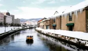 【Lion Travel 雄獅旅遊】特選北海道旅遊｜冬季雪盆戲雪.札幌白色燈樹節.函館夜景纜車.洞爺湖.海洋公園.企鵝遊行.小樽音樂盒堂.三大蟹雙溫泉五日 出發地點：台北