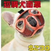 【台灣賣家👉現貨秒出】扁臉短嘴狗 法鬥 巴哥 沙皮狗 嘴套 寵物防咬面罩 防偷吃 鬥牛犬法鬥 英鬥巴戈 口罩面罩 嘴套