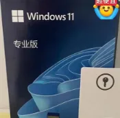 三和電腦配件店 微軟正版 Win10 Win11 專業版 家庭版 繁體中文 英文 彩盒 U盤 一機一碼 無限重裝 永【微軟批發零售】