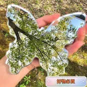 🔥臺灣出貨🔥四季春夏秋冬拍照神器化妝鏡亞克力蝴蝶鏡便攜神器意境擺拍ins風