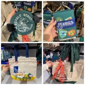 《預購》Jane's Shop 日本代購-日本環球影城-snoopy登山系列拉鍊包手機包便當袋手提袋