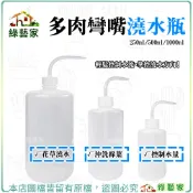 【綠藝家】多肉彎嘴澆水瓶 250ML 500ML 1000ML 擠壓式洗滌瓶 彎嘴澆水壺 澆水壺 多肉水壺 多肉澆水