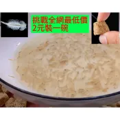 純天然豐年蝦UV殺菌烘乾切塊水族熱帶魚七彩神仙孔雀魚寵物龜糧挑嘴魚上浮通用飼料高蛋白增體增艷健康餌料