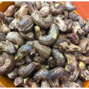 ★「振新商行」越南～ 大包裝600克/1斤裝—最大粒A180粒～《鹽焗帶皮腰果》600克/一斤
