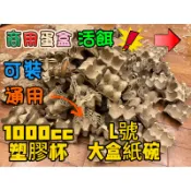 （商用裁切蛋盒） 活餌窩 紫外線殺菌蛋盒 （尺寸可選） 黃金杜比亞、蟋蟀、櫻桃蟑螂、馬島蟑螂。兩棲爬蟲。