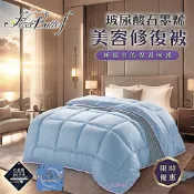 FlowerButterf 法式睡美人玻尿酸石墨烯美容沉睡被/FB0002/被子/棉被/玻尿酸/兩色任選/淺藍/粉