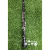 【傑夫樂器行】雙燕 Jupiter JCL-700NQ 膠管豎笛 豎笛 單簧管 黑管 附豎笛盒 Bb調