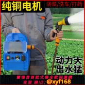 大誠優選 {可打統編 保固一年}抽水泵充電式電動農用灌溉澆菜神器澆水機自動家用澆菜地小型戶外