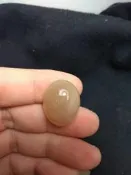 珊瑚玉 - 菊花玉 蛋面