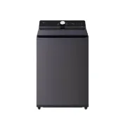 LG 樂金 20公斤 AI DD 蒸氣直驅變頻洗衣機 夜墨灰 WT-TD20HG
