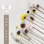 𝐅𝐞𝐢𝐲𝐚｜隔日到貨⚡ 單隻乾燥花加購區 卡斯比亞 松果 玫瑰 滿天星 尤加利 黃金球 棉花 乾燥花