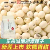 💞食光驛站💞代購SUN CLARA 蓮子 500g湘潭新貨正宗蓮子去芯磨皮白蓮子乾貨 煲湯