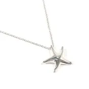 【日本直送 二手美品】蒂芬妮 TIFFANY&Co. 項鍊 海星 艾爾莎柏 તેની 銀 925 飾品