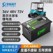 ...48v105ah高爾夫球車磷痠鐵億緯動力儲能