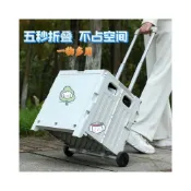 (店+)可折叠 折疊購物車 菜籃推車 菜籃車 菜籃子推車 嚴選便攜式買菜小拉車推車摺疊家用迷你超市購物車露營野營摺疊箱