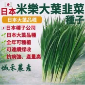 城禾農產🍃 日本米樂大葉韭菜種子 3克約690粒 大本韭菜種子 韭菜種子 日本大葉韭菜種子 大韭菜種子 大葉韭菜種子