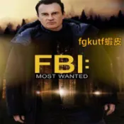 歐美劇 聯邦調查局：通緝要犯_S1_S2_S3_S4_S5_S6不是DVD
