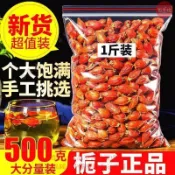 🔥百草坊【臺灣出貨】湯膳師梔子果大飽滿新貨滷肉黃梔子正宗梔子泡水喝單方養生茶500g