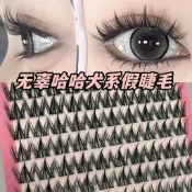 十排大容量犬系假睫毛芭比大眼娃娃感單簇分段式睫毛新手三部曲【蕭妞實業】
