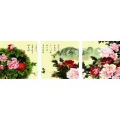 【ArtLife 藝術生活】93084 富貴牡丹 50*50CM*三幅組(數字油畫 DIY DIY數字油畫 交換禮物 畫畫玩具)