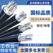 【臺灣出貨】YJLV國標 鋁芯電纜線 2/3/5芯 電線鋁線 10/25/35/50平方 鋁芯電纜 戶外