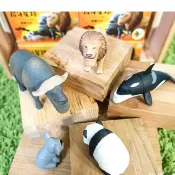 現貨 全家 戽斗星球 磁鐵 公仔 第二波 全套5款 獅子 水牛 虎鯨 貓熊 無尾熊 厚道 後到 後斗 動物 星球 戽斗
