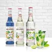 【MONIN】系列風味糖漿700ml(藍柑風味/莫西多風味/橘皮風味)
