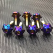 🥳阿德騎士部品 POSH 鈦合金 星型 內六角螺絲 螺絲 6x25