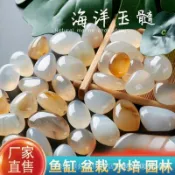 【新品特惠】🔥海洋玉髓原石曼紮雨花石鵝卵石花盆水培水僊子魚缸裝飾花瓶小石頭⭐ YZ4B 6WZD