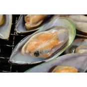 【中秋烤肉系列 】紐西蘭半殼淡菜 / (12~13個)/孔雀蛤約400g±5%分享包
