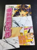 ．私人好貨．二手．24．漫畫．早期 新視界【很好色的工作 C1575 神保ひとで】中古書籍 插畫畫集 角色叢書 自售