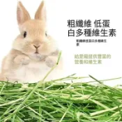 【芳香牧草】小寵專屬萌寵牧草 過篩 甜小麥 提摩西一割 苜蓿 燕麥草 百幕達 兔子龍貓豚鼠荷蘭猪放心食用
