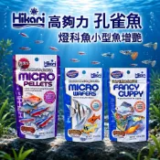 【臥水族】免運 高夠力小型魚飼料 45g 22g 孔雀魚 燈魚 燈科 緩沉型 Hikari 熱帶魚