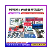 (店+)樹莓派5 傳感器套件 視覺 5b 5代 raspberry Pi 5 4g 8g 開發板