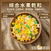 綜合水果乾粒 45克~小巧顆粒好入口 ~適合小型鳥|倉鼠|刺蝟 鸚鵡零食 鳥零食
