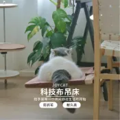 『One home』吸盤貓爬架 透明貓窩 實木貓跳台 窗戶貓爬架 墙吸盤貓爬架玻璃貓免打孔透明貓窩吊床實木麻繩寵物
