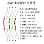 【台灣公司 可打統編】免運 AME唐宗反曲弓箭軍興三利達唐宗射擊比賽中級競技新手入門訓練 YYJJ03245